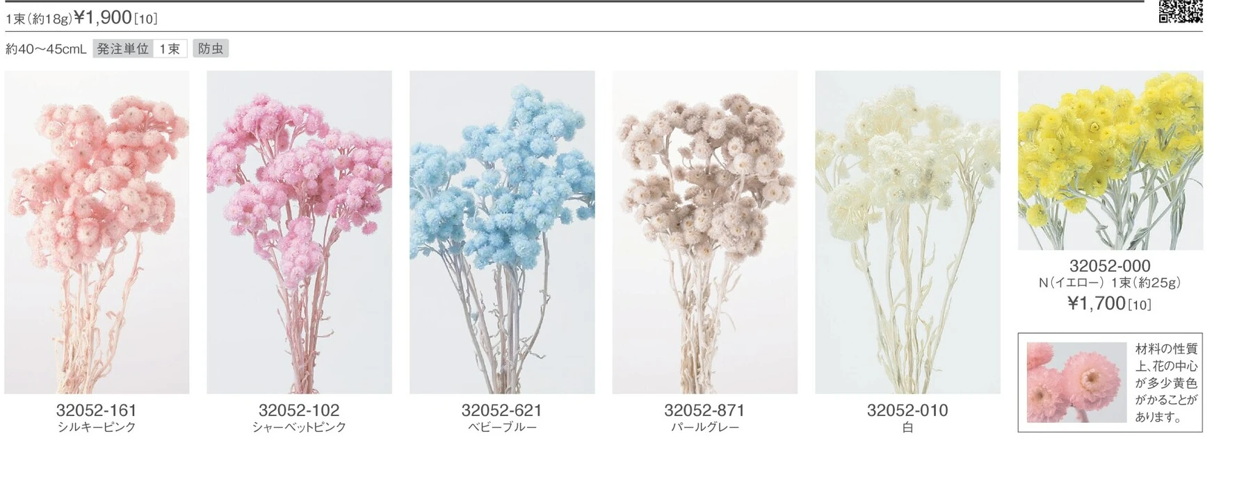 大地 蠟菊32052