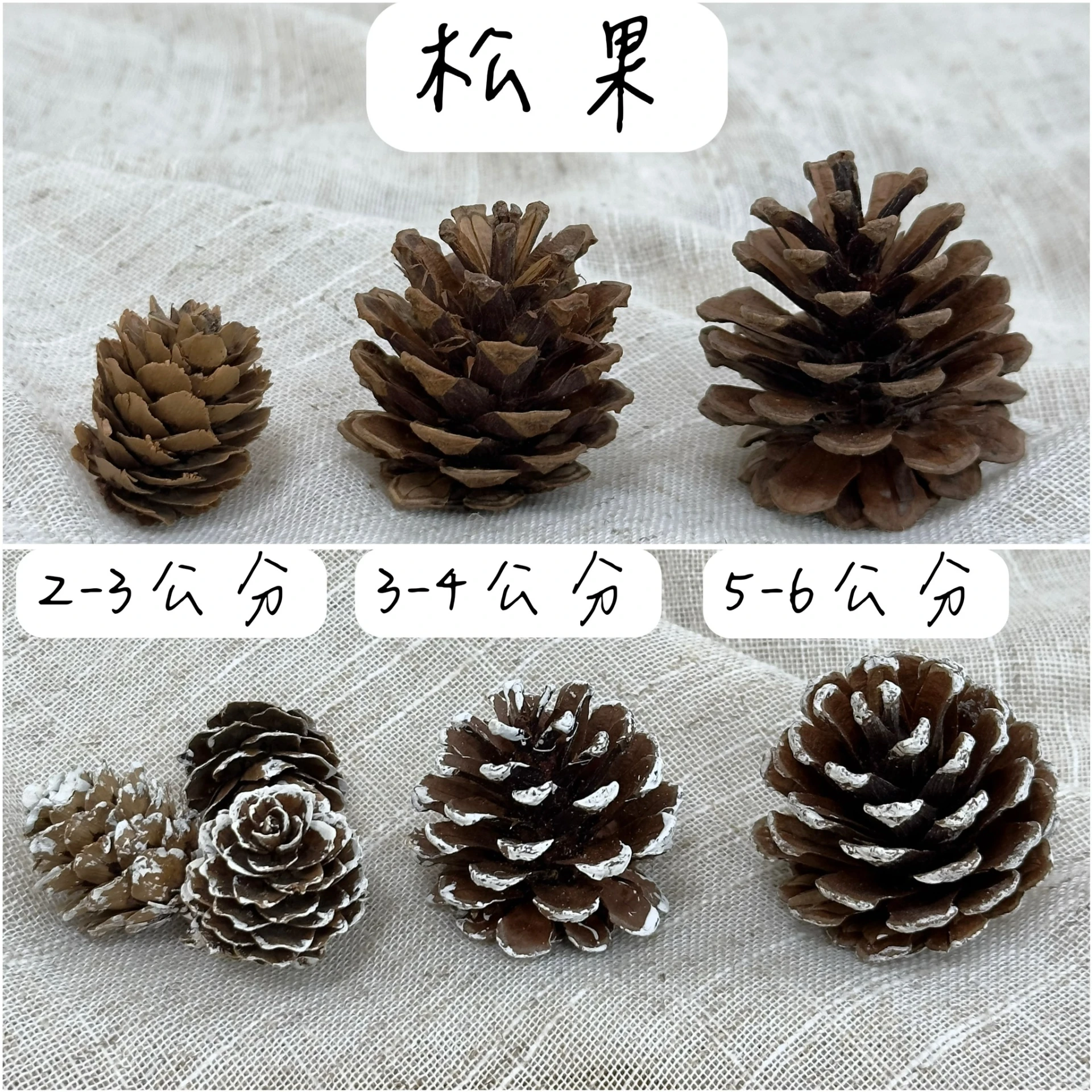 聖誕裝飾果實/松果