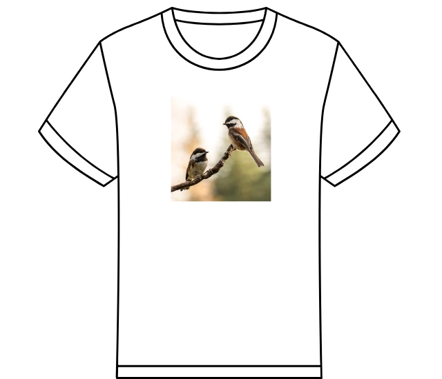 限量設計款 | Bird 01 T恤(725)