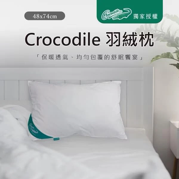 買一送一│Crocodile羽絨枕