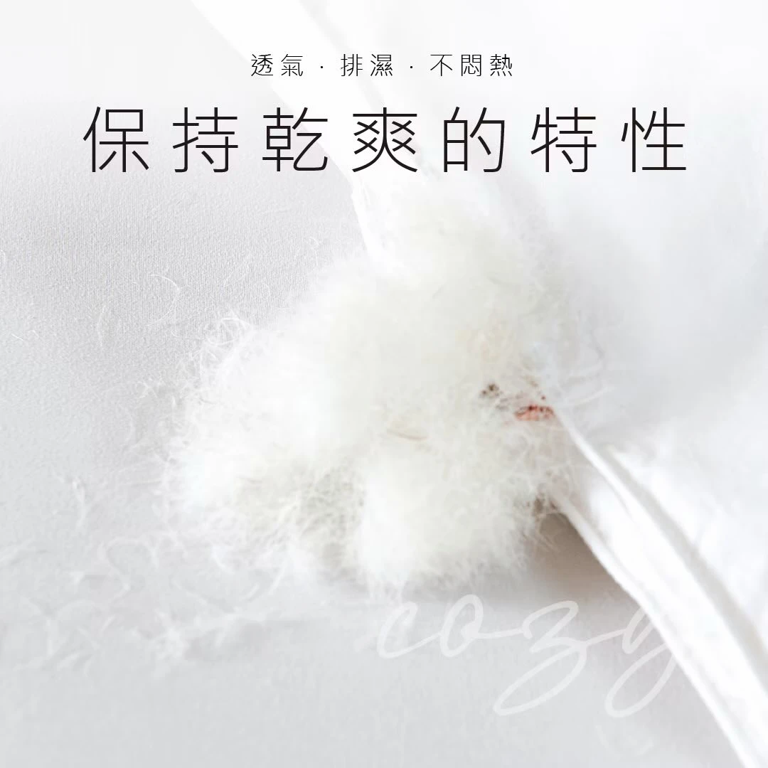 買一送一│Crocodile羽絨枕