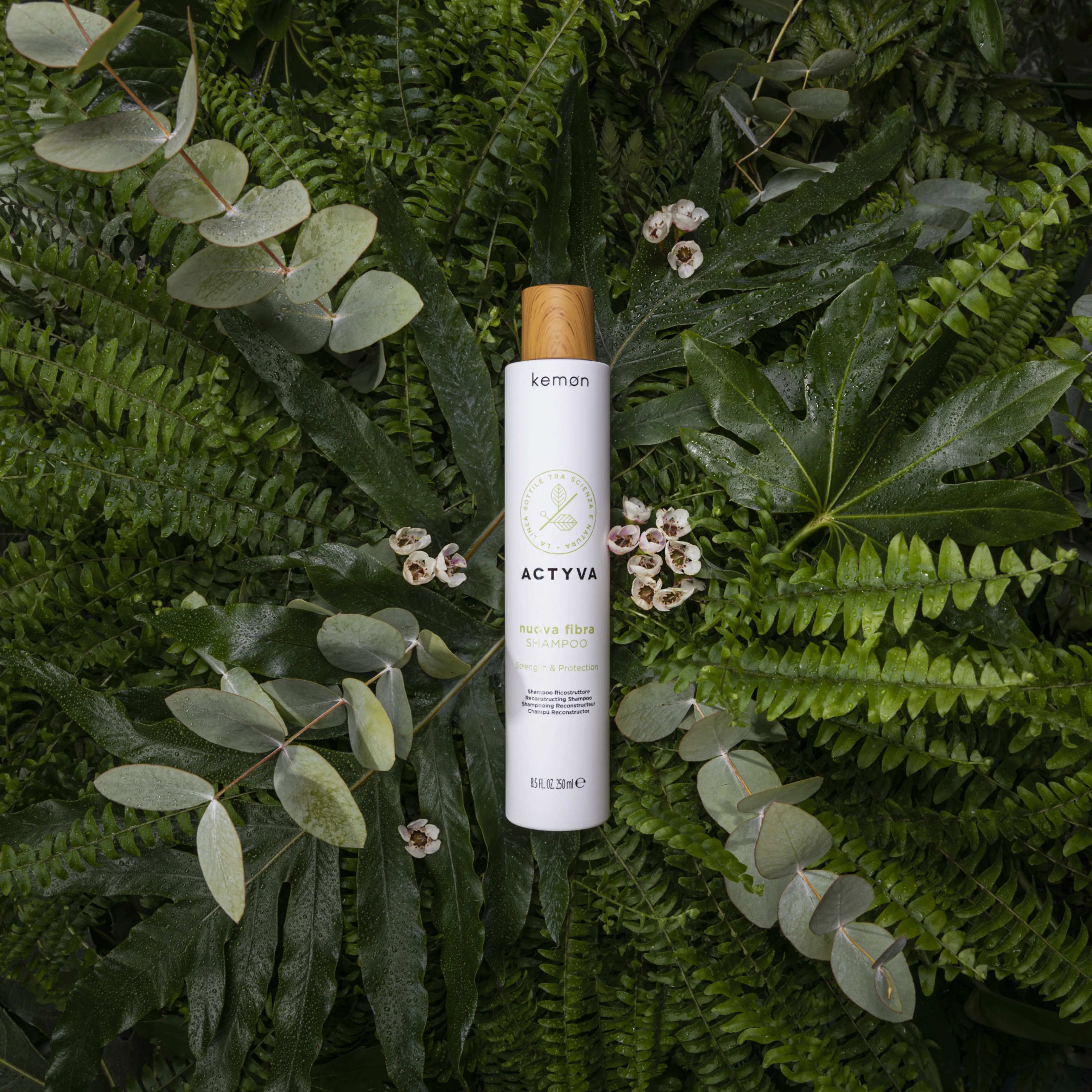 ACTYVA 蛋白草重建潔髮乳 250ml