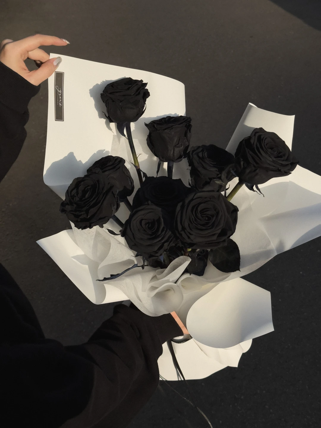 黑玫瑰花束 Black Rose