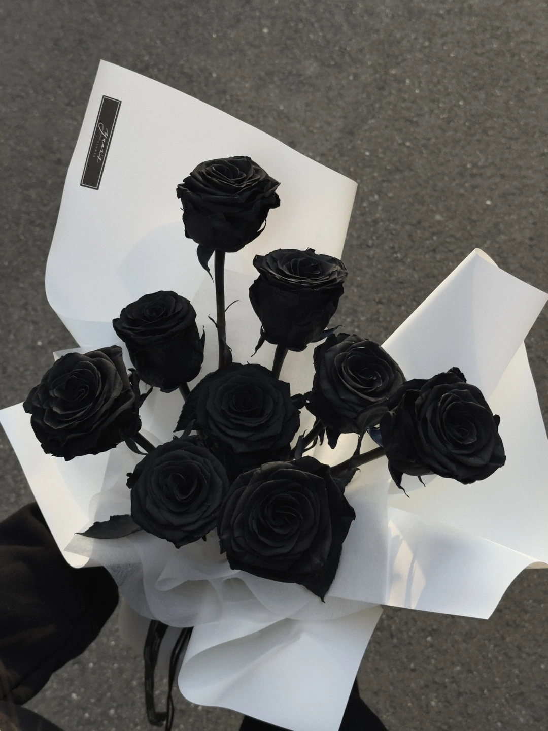 黑玫瑰花束 Black Rose