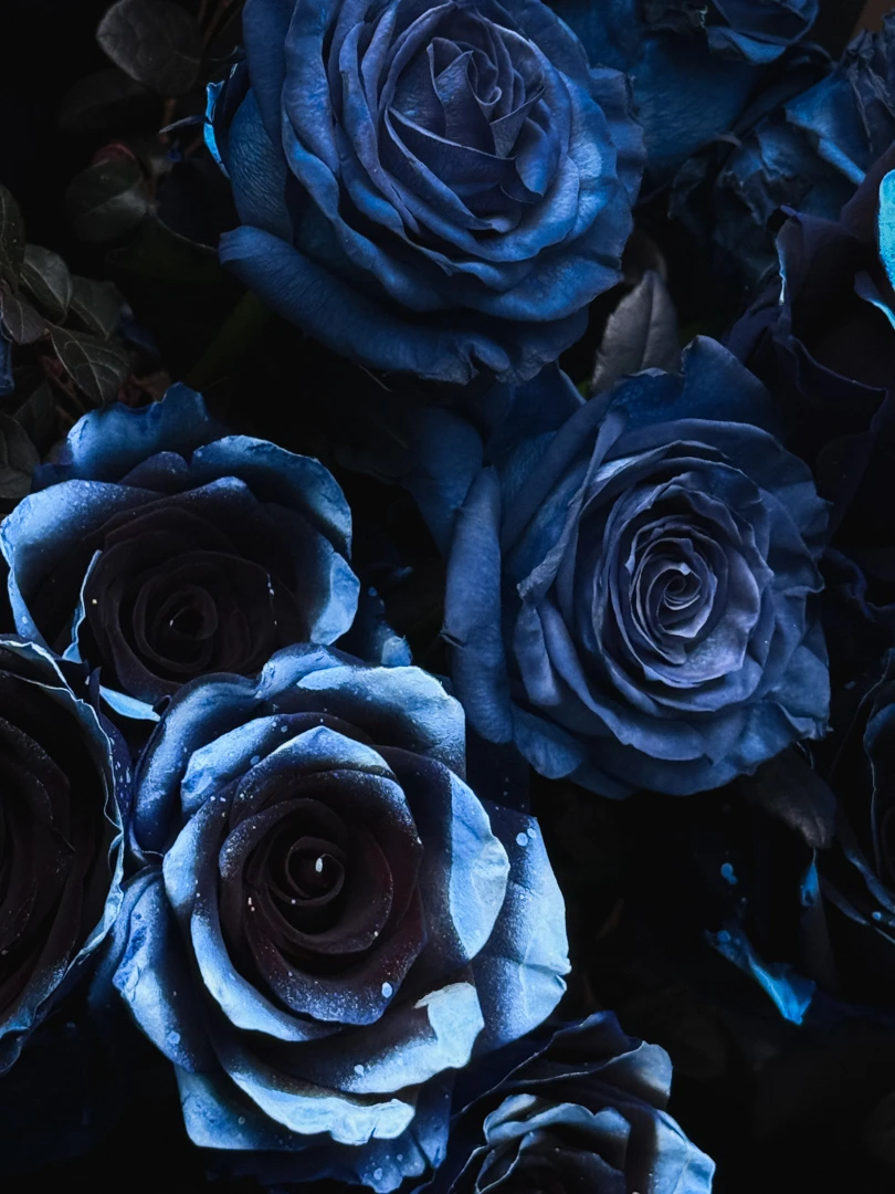 梵谷星空油畫 馬耳他藍月光玫瑰花束 Van Gogh Blue Rose 原點限量色玫瑰