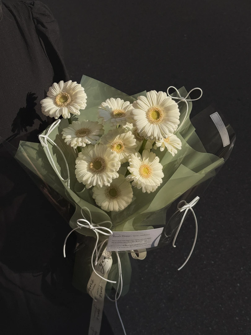 奶油白非洲菊 小太陽花束 Cream White Gerbera Daisy