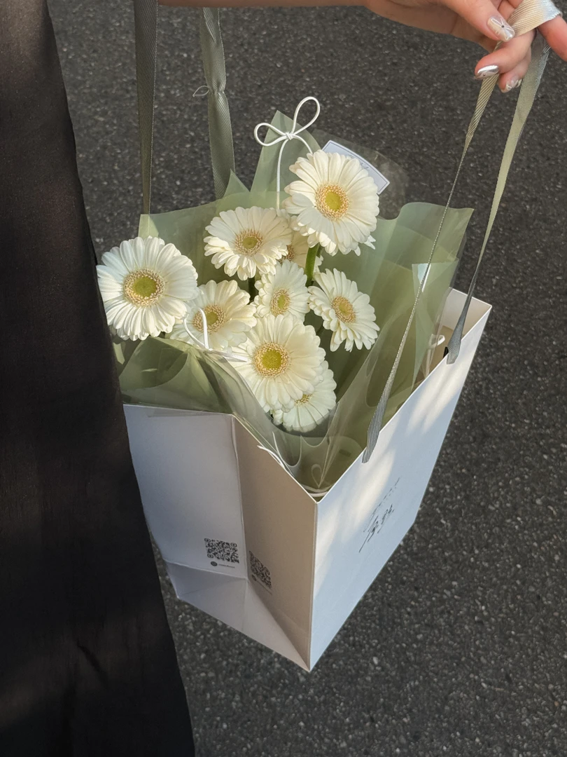 奶油白非洲菊 小太陽花束 Cream White Gerbera Daisy