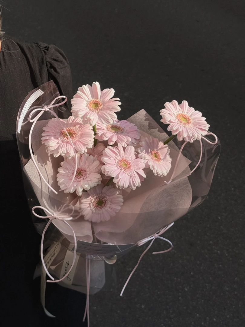 淺淺粉非洲菊 小太陽花束 Baby Pink Gerbera Daisy