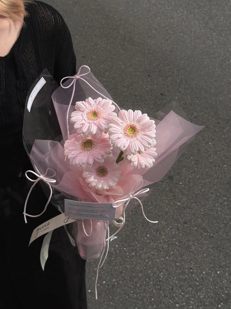 淺淺粉非洲菊 小太陽花束 Baby Pink Gerbera Daisy
