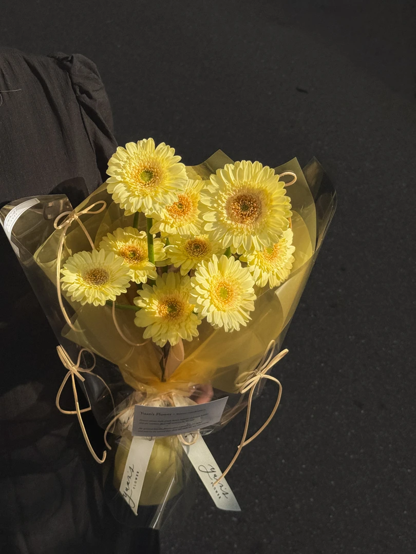 檸檬淡鵝黃非洲菊 小太陽花束 Lemon Yellow Gerbera Daisy