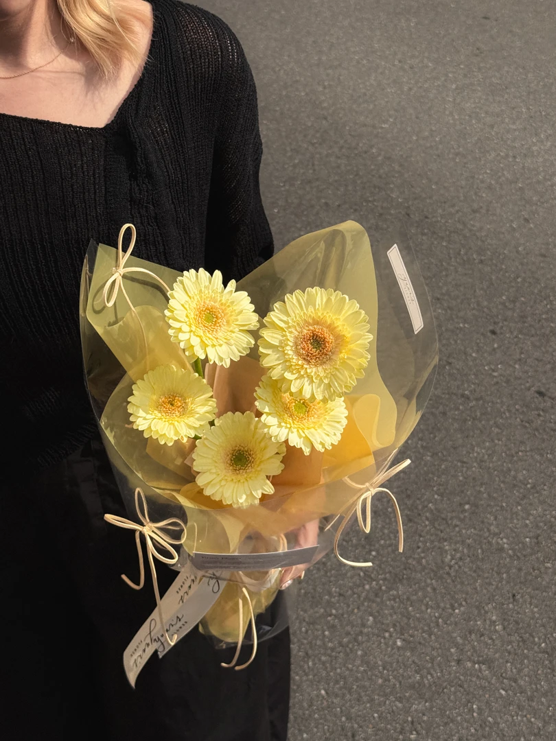 檸檬淡鵝黃非洲菊 小太陽花束 Lemon Yellow Gerbera Daisy