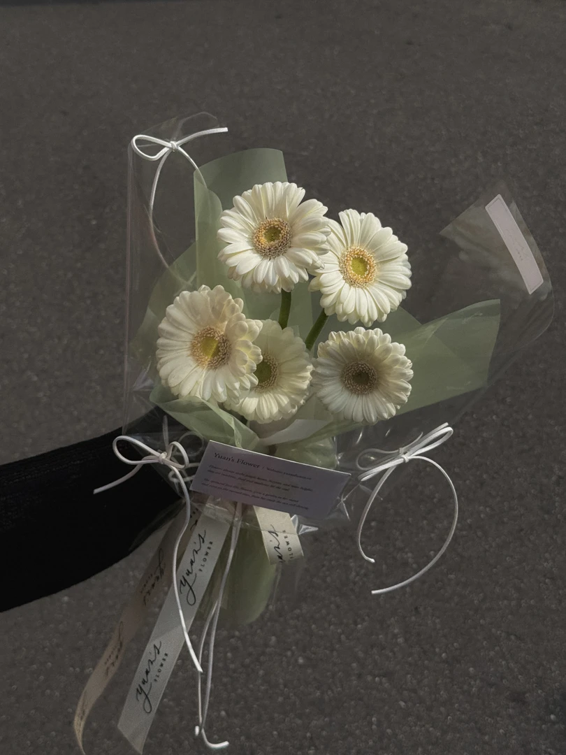 奶油白非洲菊 M Size 小太陽花束 Cream White Gerbera Daisy