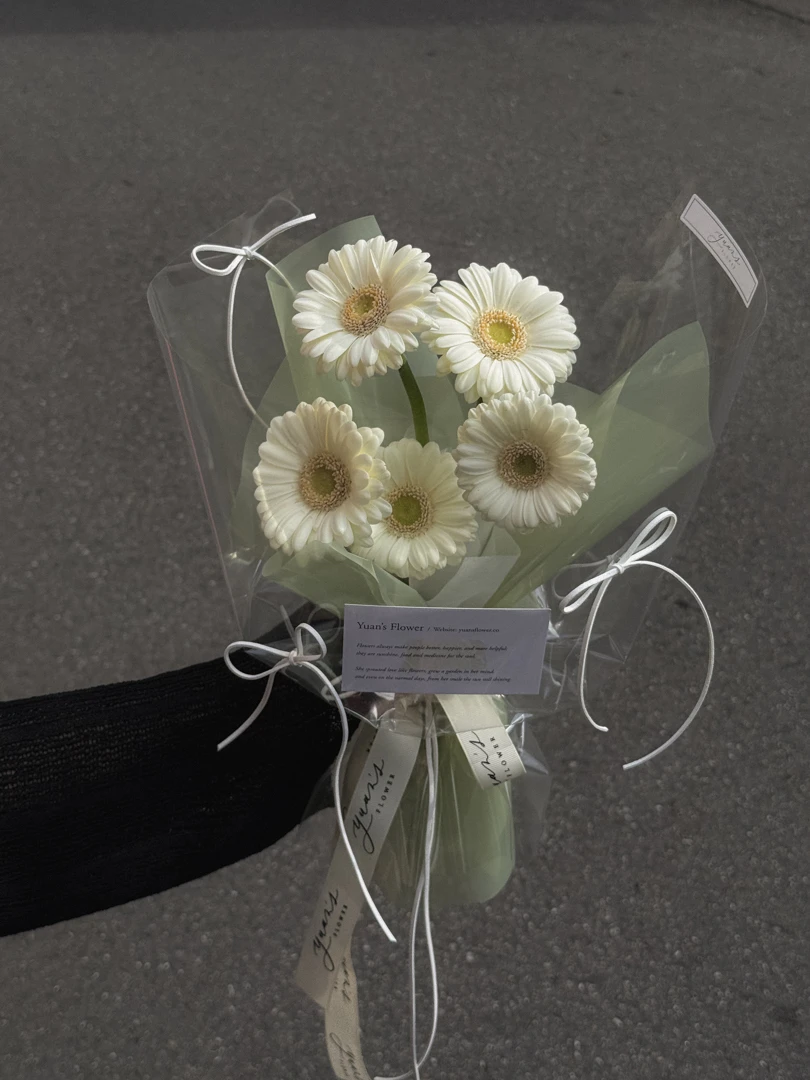 奶油白非洲菊 M Size 小太陽花束 Cream White Gerbera Daisy