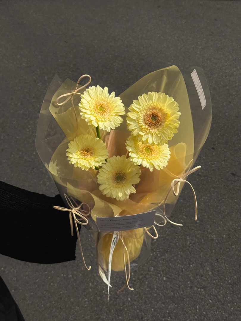 檸檬淡鵝黃非洲菊 M Size 小太陽花束 Lemon Yellow Gerbera Daisy