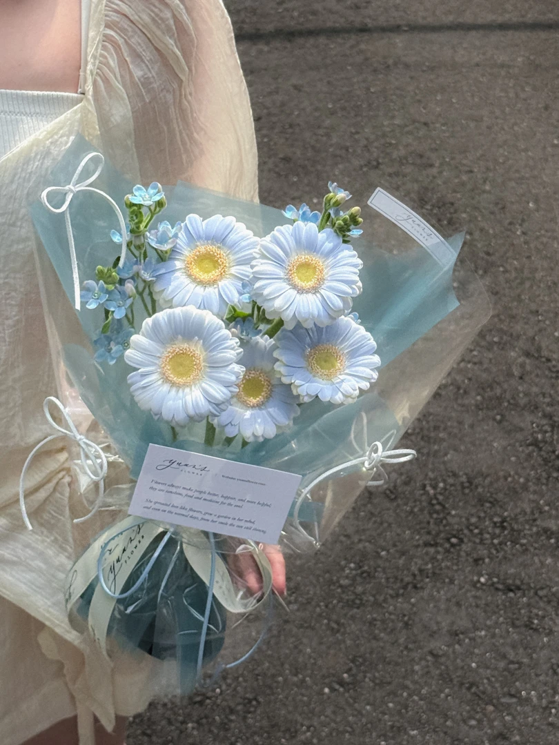 碎冰藍非洲菊 小太陽花束 Icy Blue Gerbera Daisy