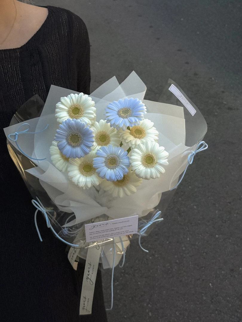 奶油白 x 碎冰藍非洲菊 小太陽花束 Icy Blue Gerbera Daisy