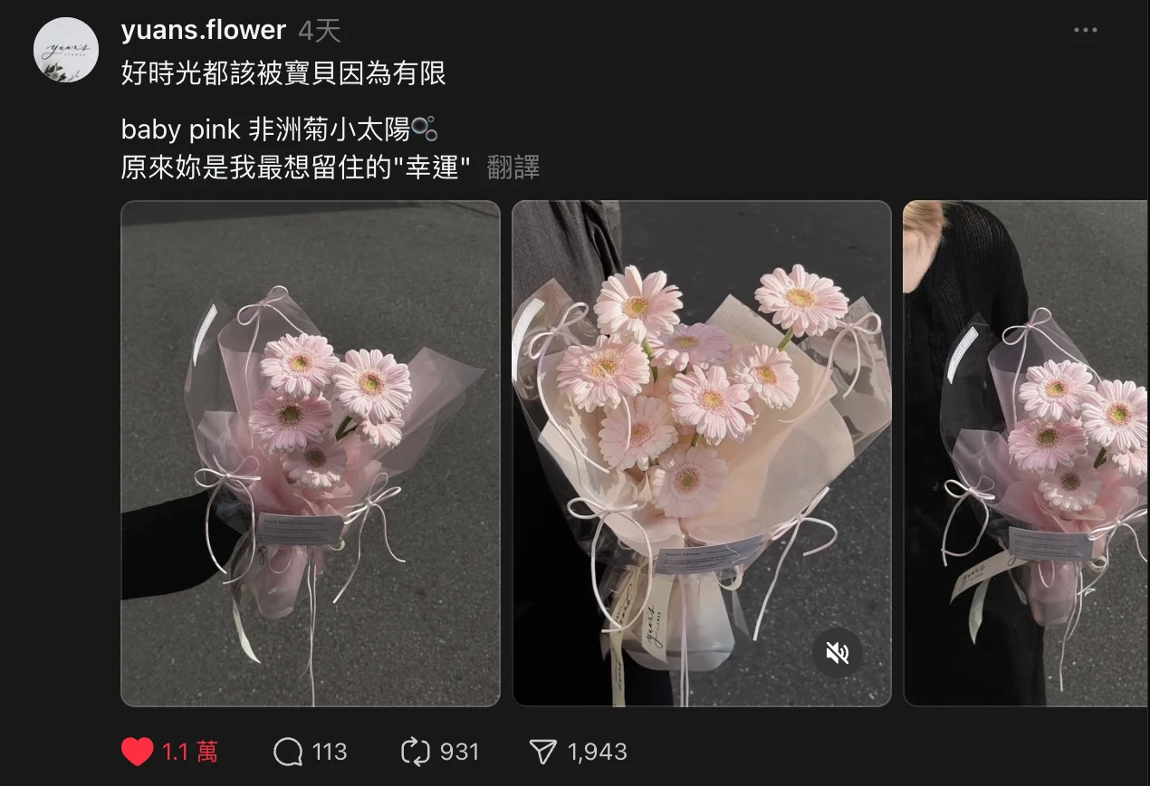 baby pink 淺淺粉非洲菊花束 實拍圖