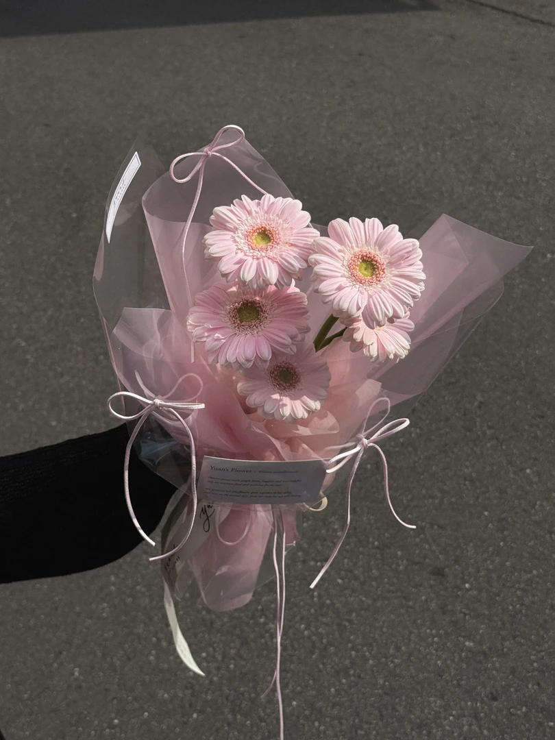 baby pink 淺淺粉非洲菊花束 實拍圖