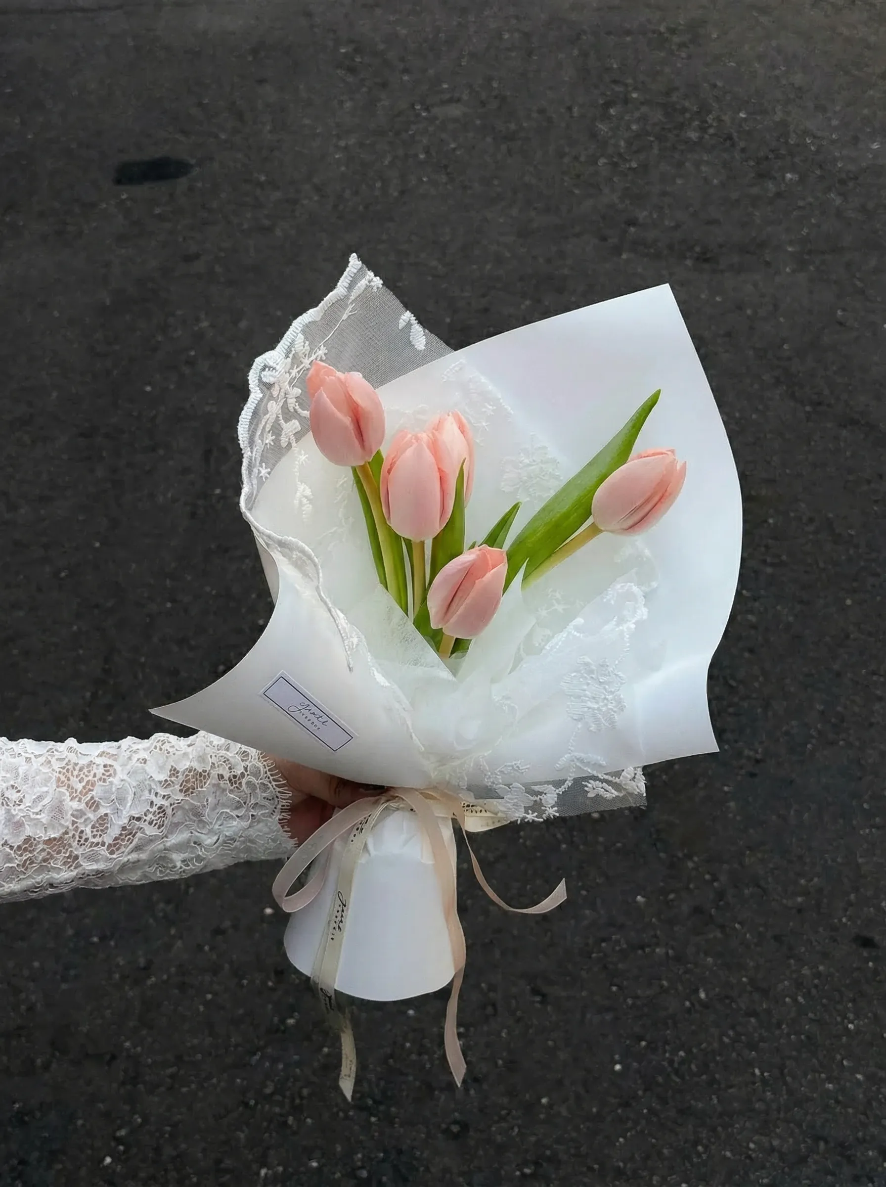 Lace Peach Tulips 水蜜桃杏粉鬱金香