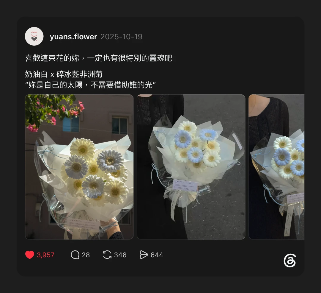 原點花藝 奶油白x碎冰藍非洲菊 Threads 貼文