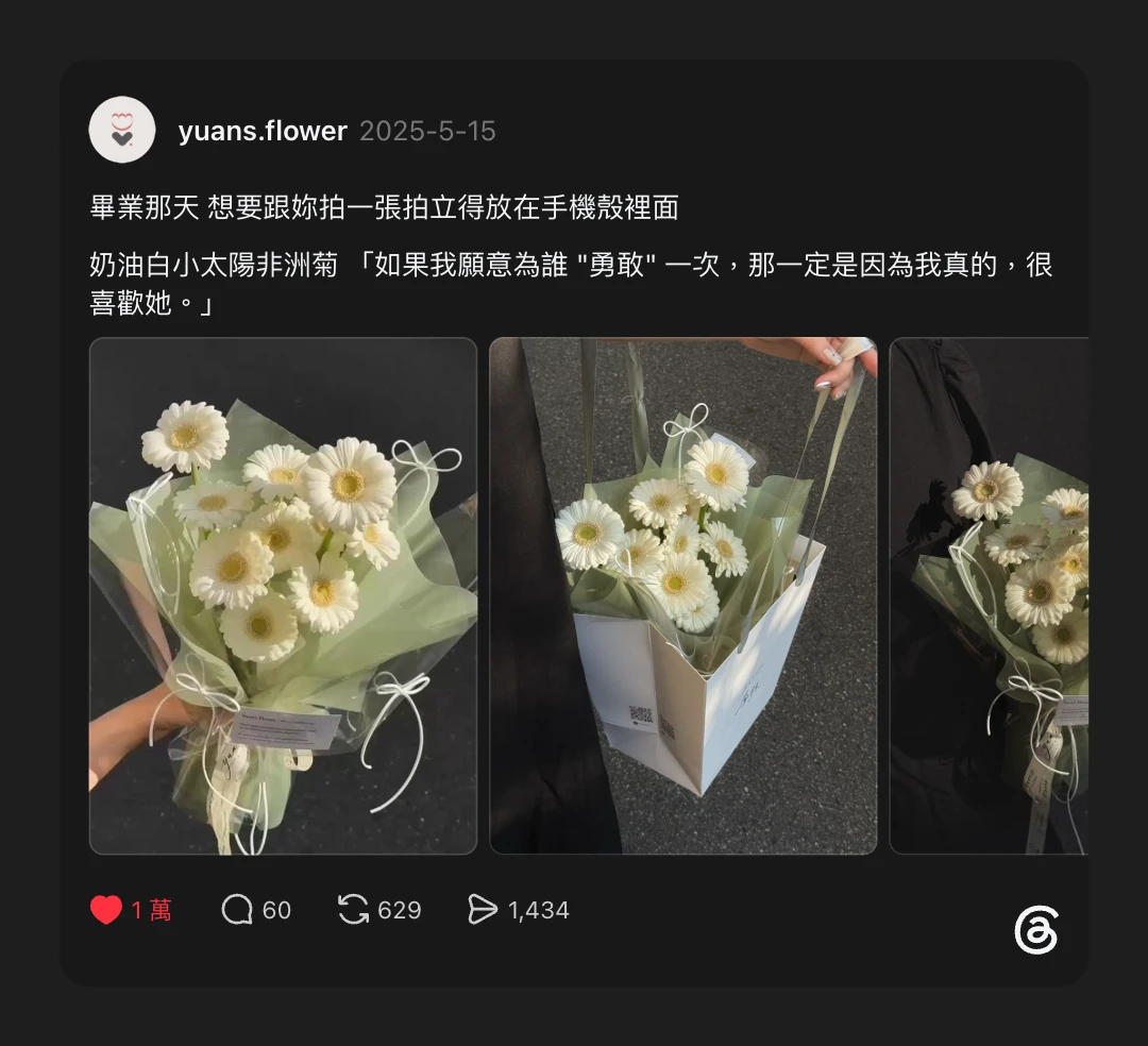 原點花藝 奶油白小太陽非洲菊 Threads 破萬貼文
