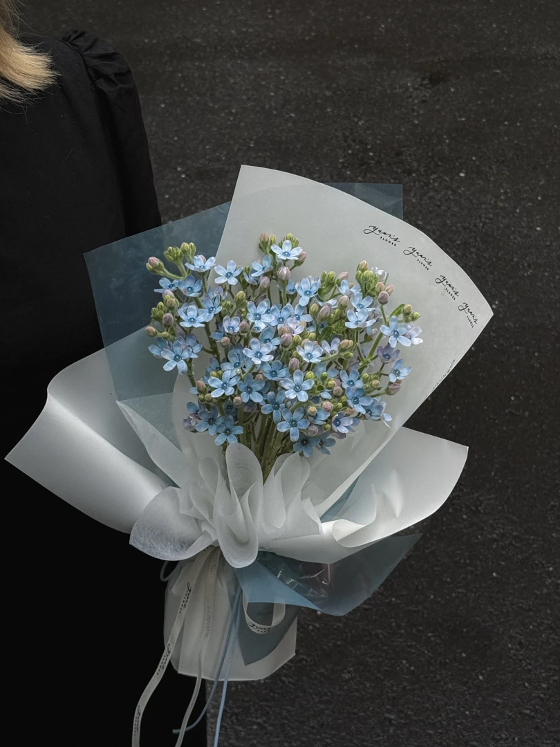 原點花藝 baby blue 日本藍星花花束｜天藍色小花與白色包裝
