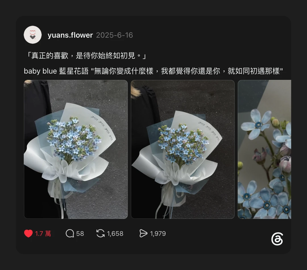 原點花藝 baby blue 日本藍星花 Threads 貼文｜真正的喜歡，是待你始終如初見
