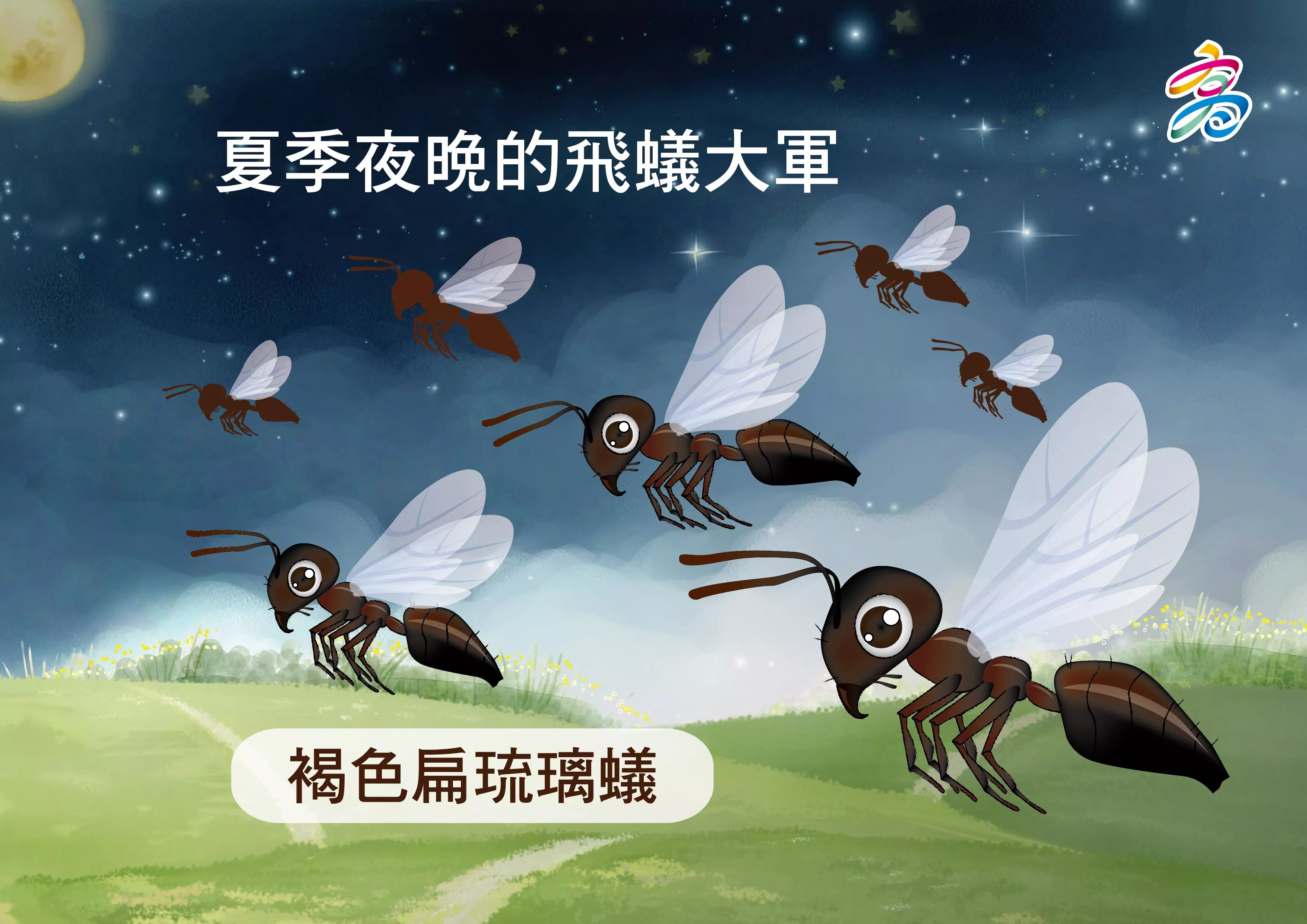 夏季末-令人頭皮發麻、密集恐懼的琉璃蟻患
