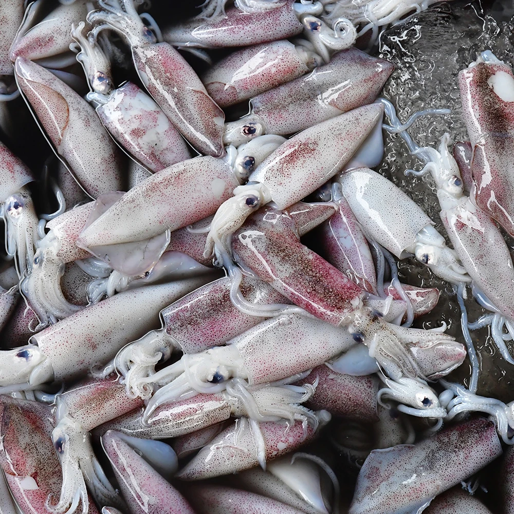 小卷