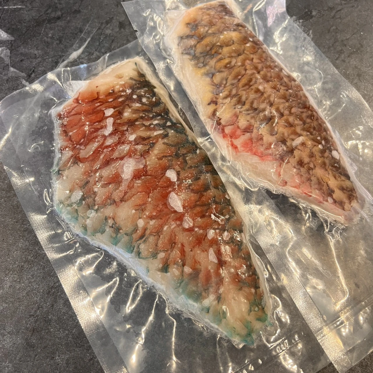 鸚哥魚