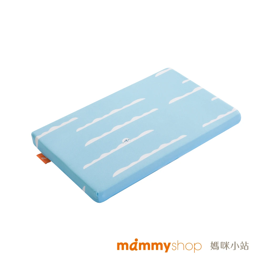 接觸型涼感布套 (適用VE多功能平枕 / 不含枕芯) 【海豹】