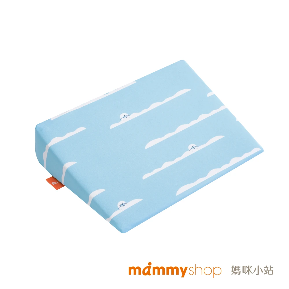 接觸型涼感布套 (適用VE孕婦側睡托腹枕 / 不含枕芯) 【海豹】