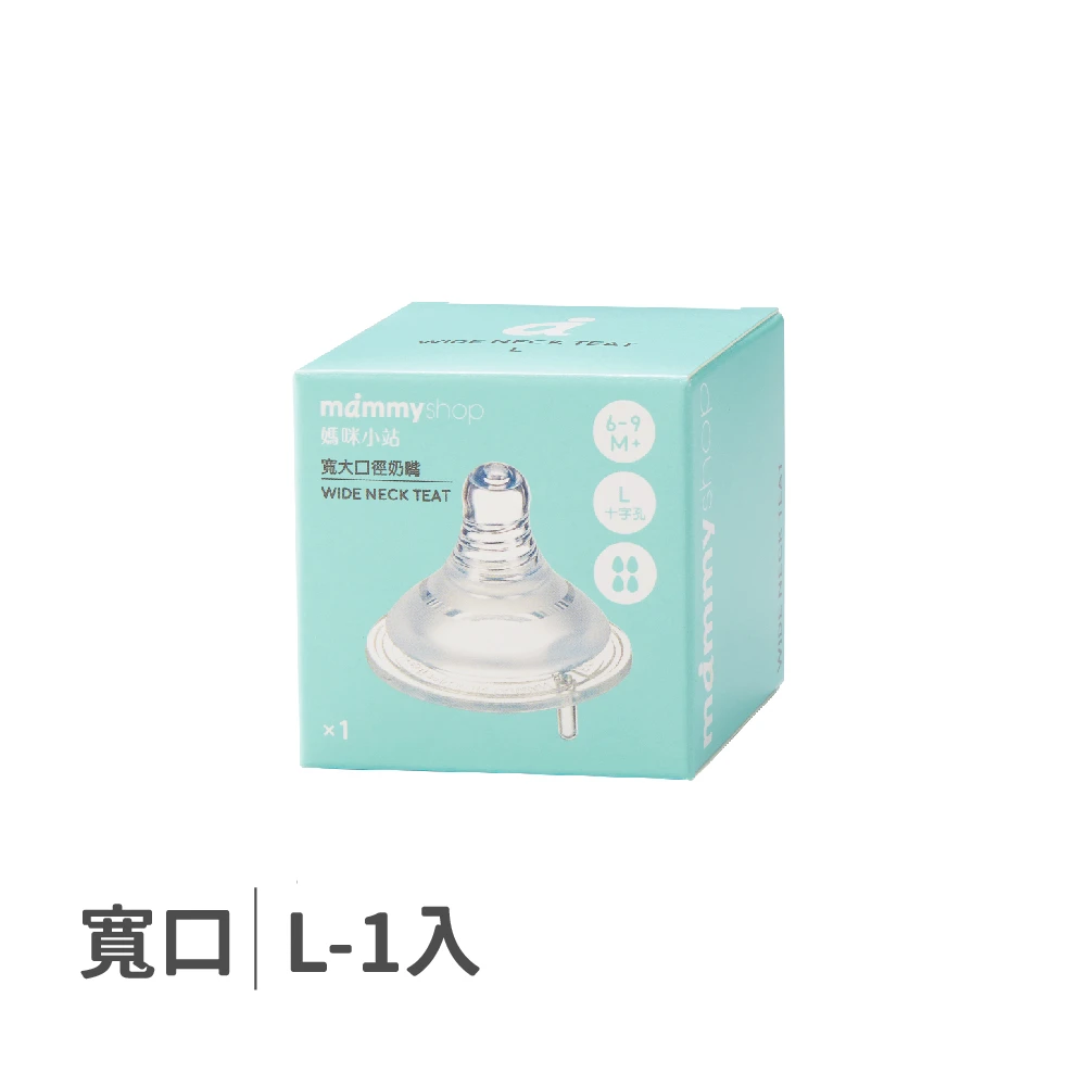 母感體驗2.5 奶嘴 1入裝 (寬大口徑 / L / 十字孔)