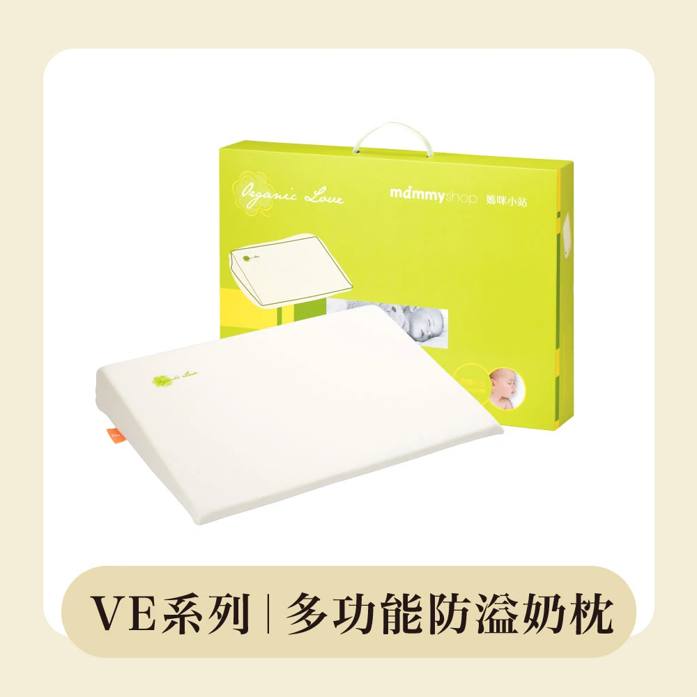 VE多功能防溢奶枕 (含布套)