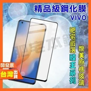 VIVO V17 V15 PRO 鋼化膜 保護貼 肥宅膜王