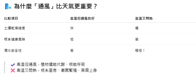 🌞 夏天澆水建議：不要只看天氣，要看通風！