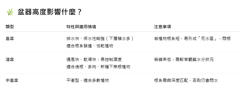 🪴 高盆、淺盆怎麼選？一篇看懂盆器結構與排水設計