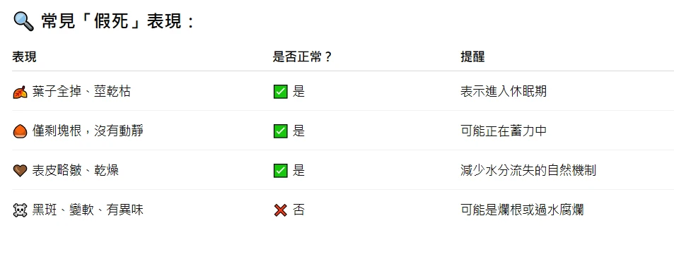 🌱【你的植物真的死了嗎？──認識「假死」現象】