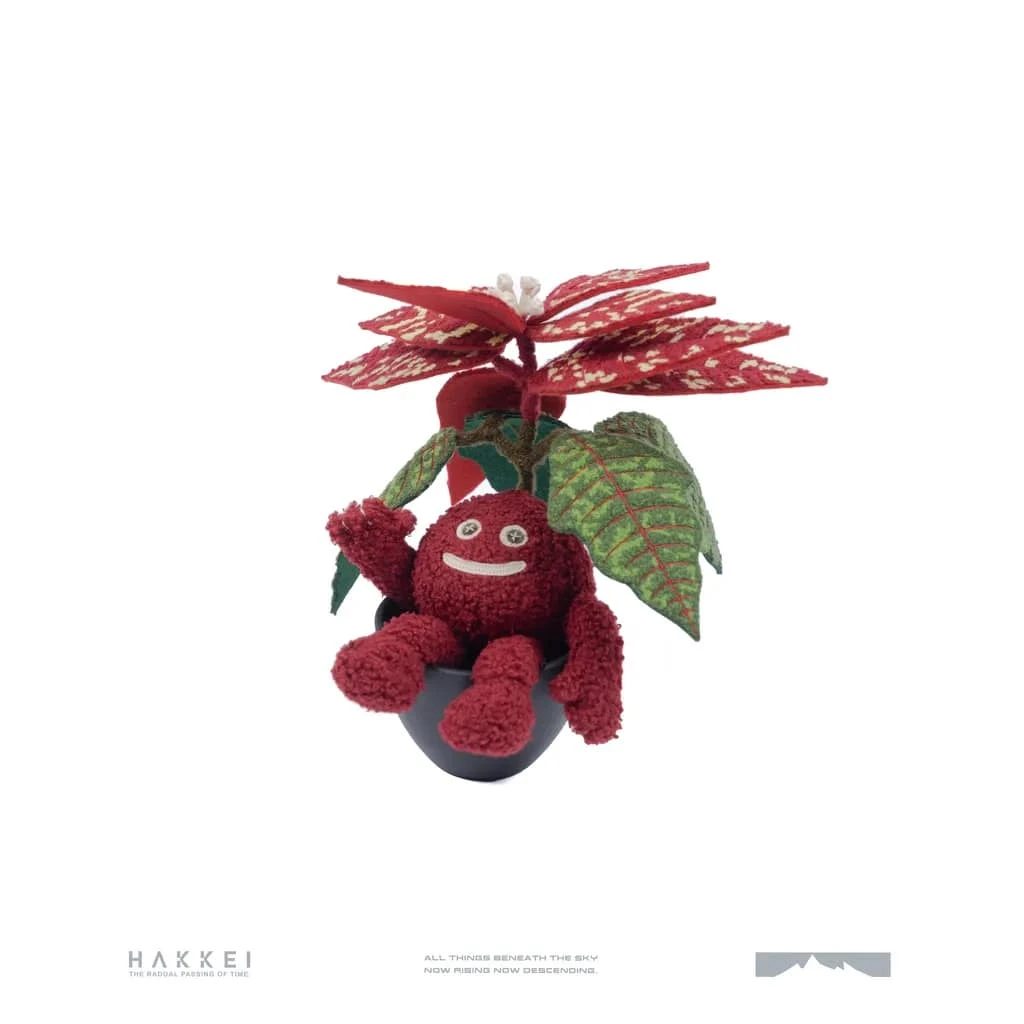 寶石聖誕紅豆吉