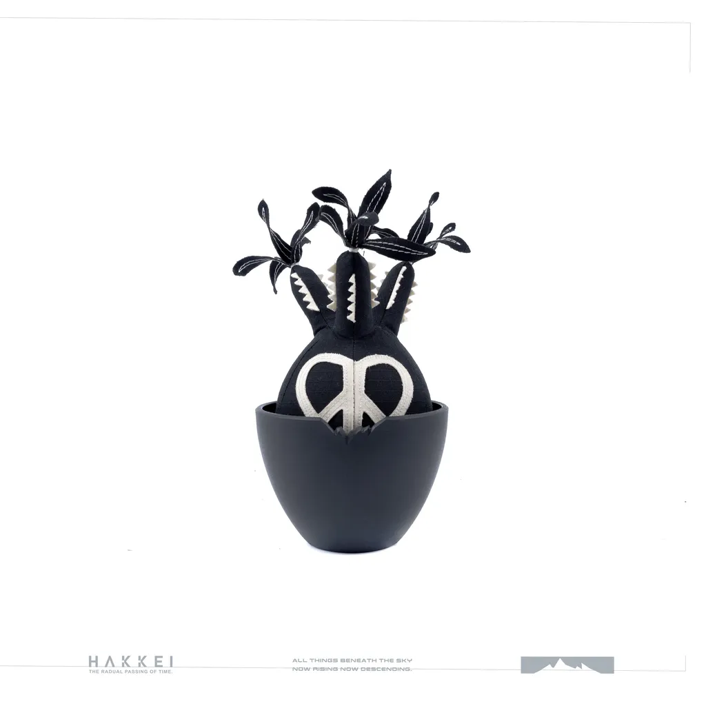 晴雲秋月　盆栽 HAKKEI 白景ORDEX 原生