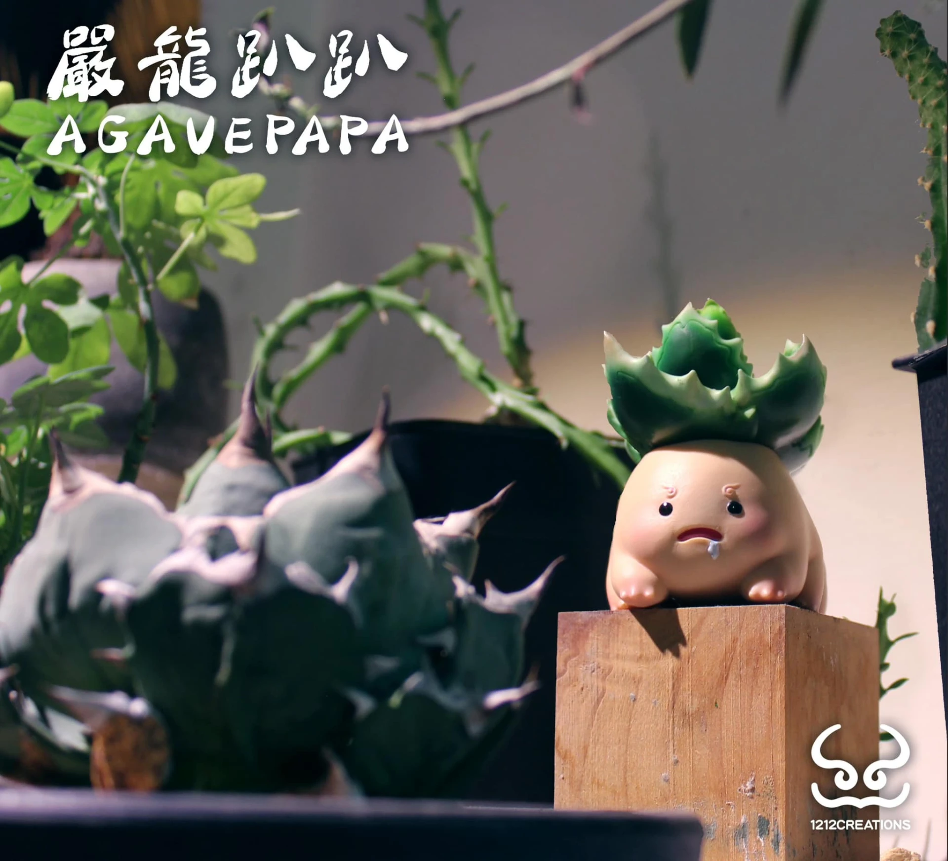 設計師公仔-龍舌蘭趴趴