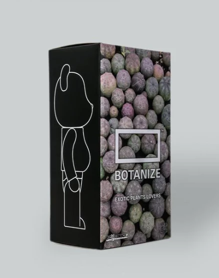 BOTANIZE ORDEX 原生