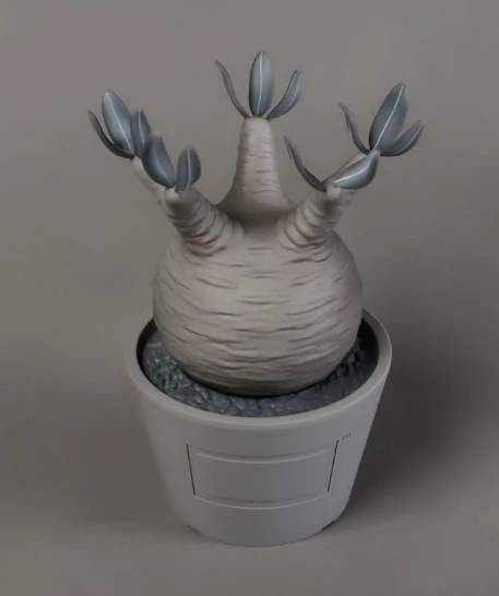 パキラ VCD Pachypodium Gracilius Var. MONOTONE VCD Pachypodium Gracilius Var. MONOTONE