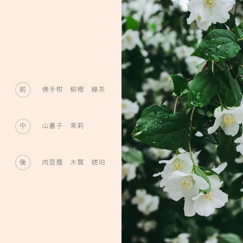⚠️乾髮日常保養⚠️極致潤澤髮油（免沖洗）｜容量：120ml
