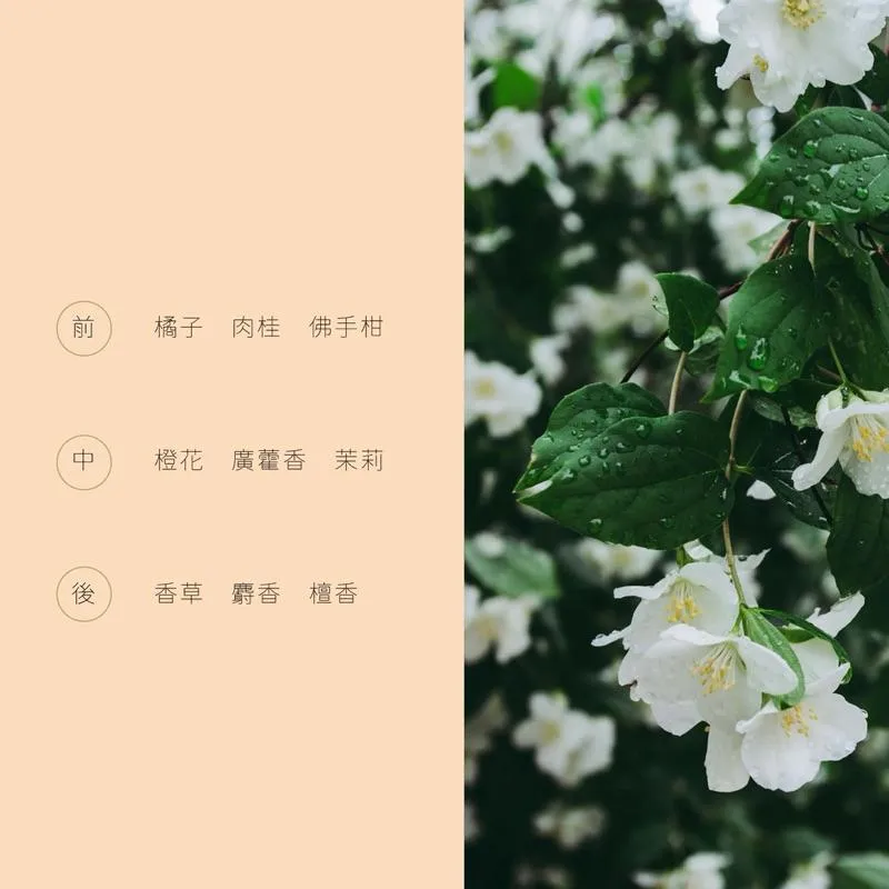 ⚠️洗後頭皮保養⚠️頭皮舒緩養髮液｜容量：120ML