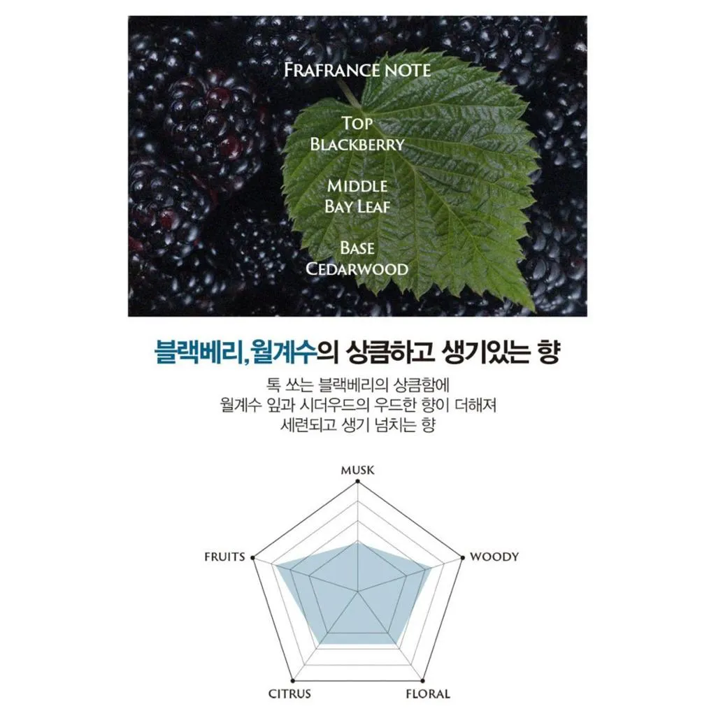 【BEAUSTA】首爾專櫃限定｜免沖洗香氛護髮精華50ml｜黑莓香味