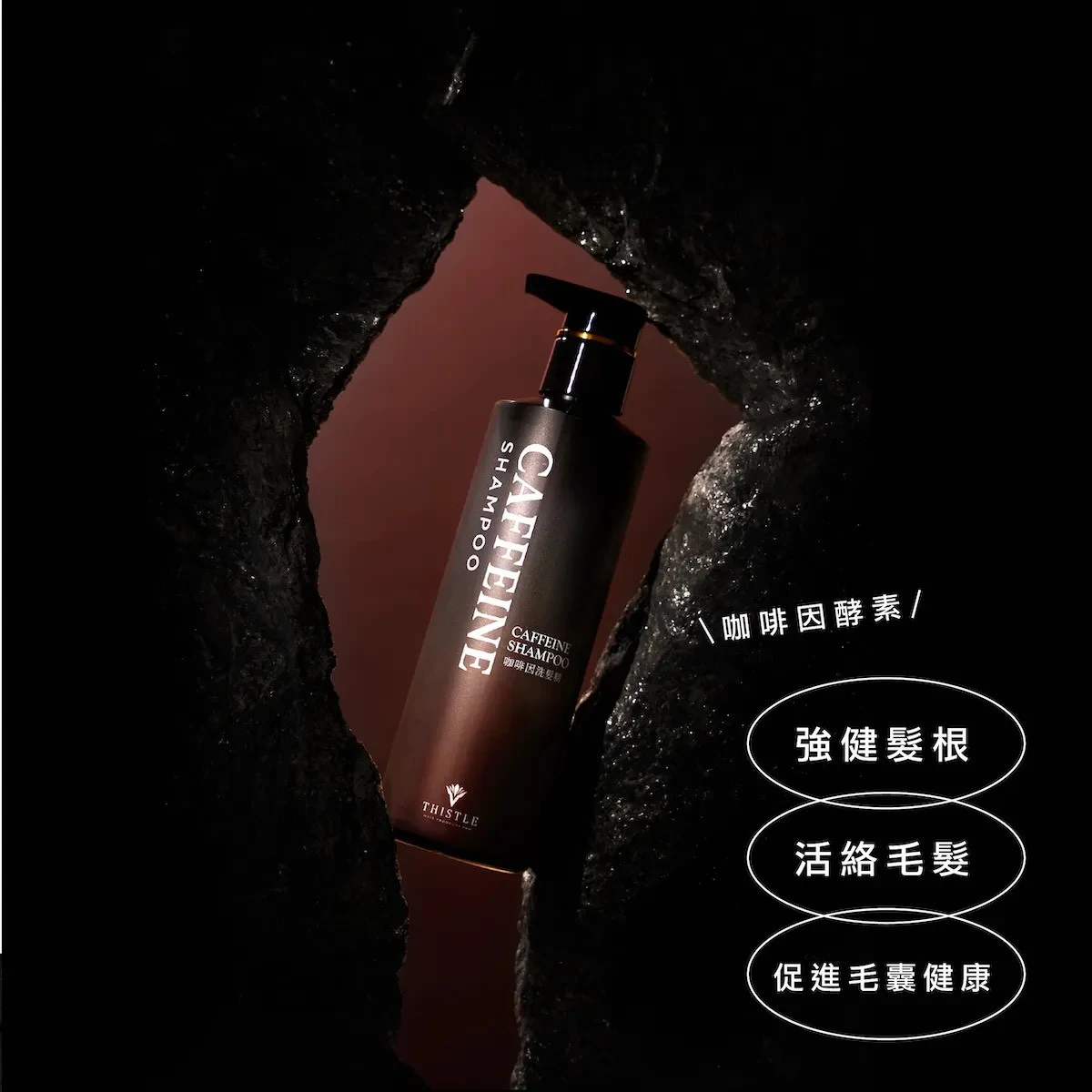 咖啡因洗髮精｜強健髮根 x 活絡毛髮 x 促進毛囊健康 (容量：250ml)