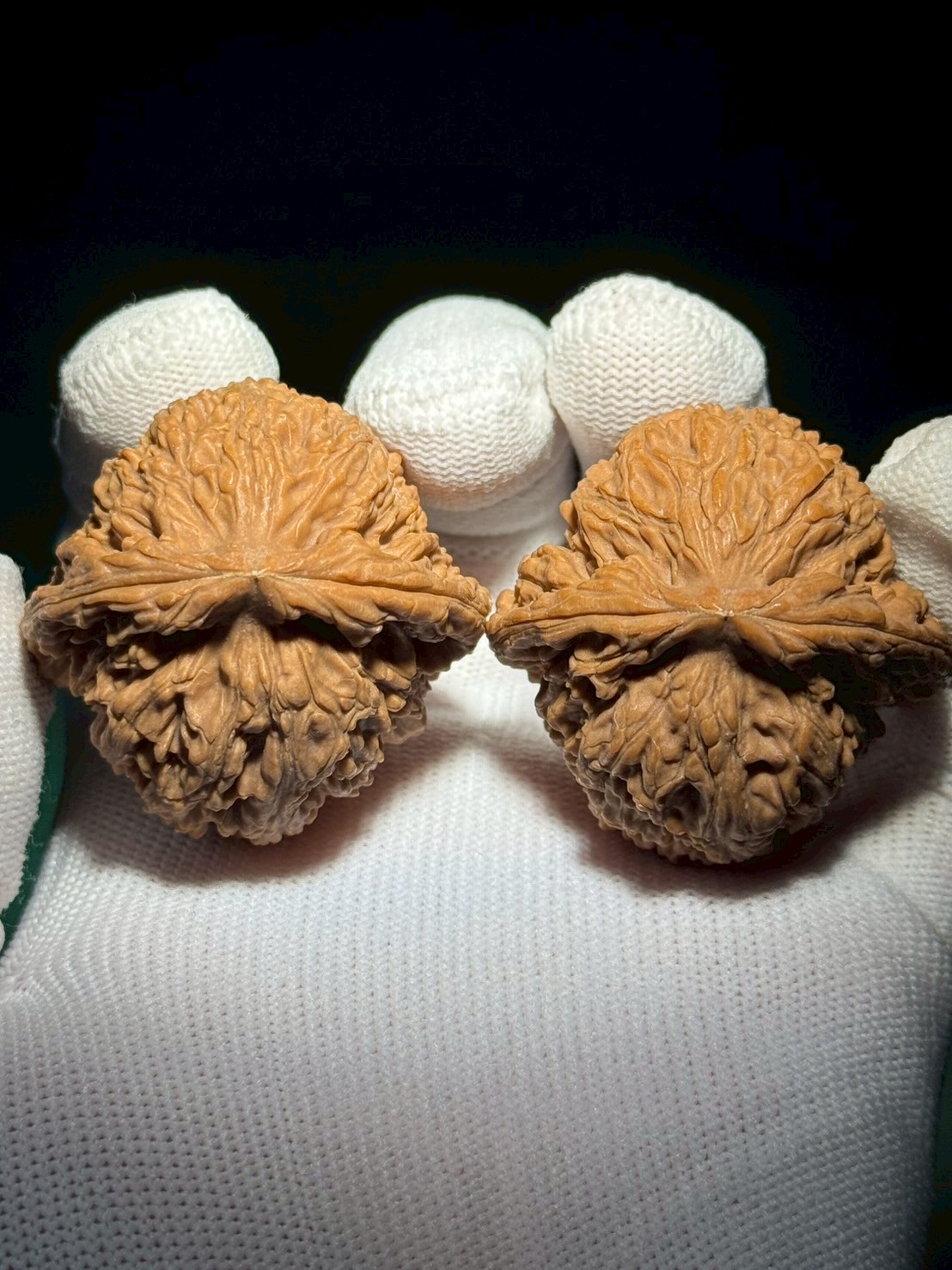 希少文玩核桃 南疆石 極太楞特徴 全品無修 南疆石核桃｜全品無修｜老款經典款｜ 新手熱門首選｜骨質之王