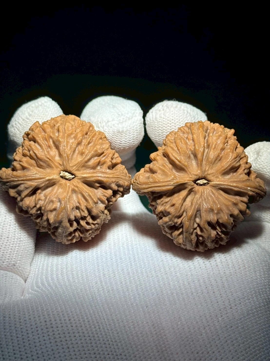 南疆石核桃｜全品無修｜老款經典款｜ 新手熱門首選｜骨質之王上善文玩