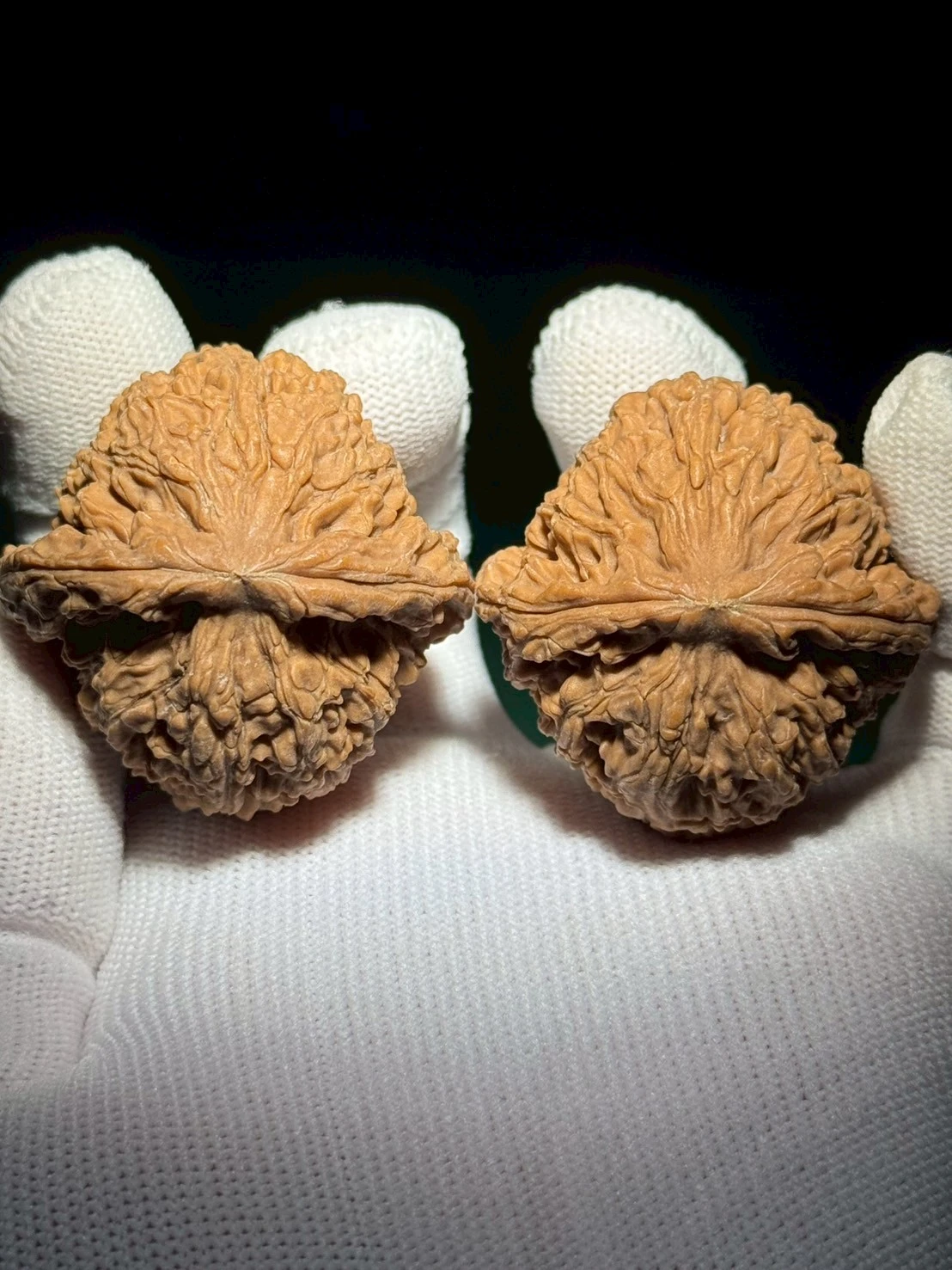 南疆石核桃｜全品無修｜老款經典款｜ 新手熱門首選｜骨質之王上善文玩